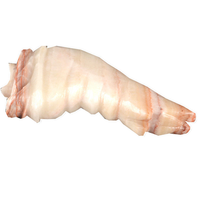 天然猪肉石观赏广西柳州奇石客厅摆件图案石景观石头原石镇宅包邮,淘宝优惠券,粉丝福利购,淘宝优惠卷