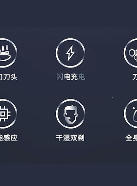 松下原装进口男士剃须刀ST25