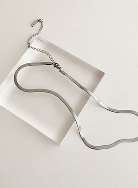 Partyme手工简约气质项链蛇骨链高级感小众轻奢设计感锁骨链男女