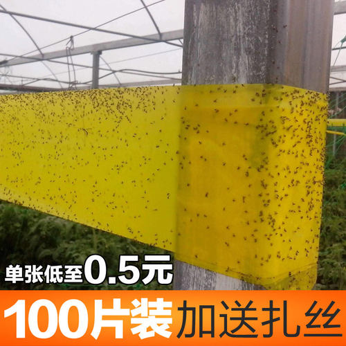 黄色粘虫板黄板双面诱虫板包邮果园飞虫粘虫蓝板黏虫板大棚防虫板 - 图2