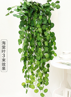 仿真绿植常青藤塑料爬山虎绿叶藤