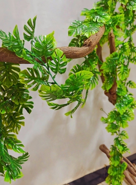 仿真藤条金钱叶尤加利假花条藤蔓