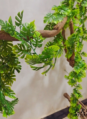 仿真藤条塑料假花藤仿真绿植装饰藤蔓满天星花苞爬藤简约尤加利叶