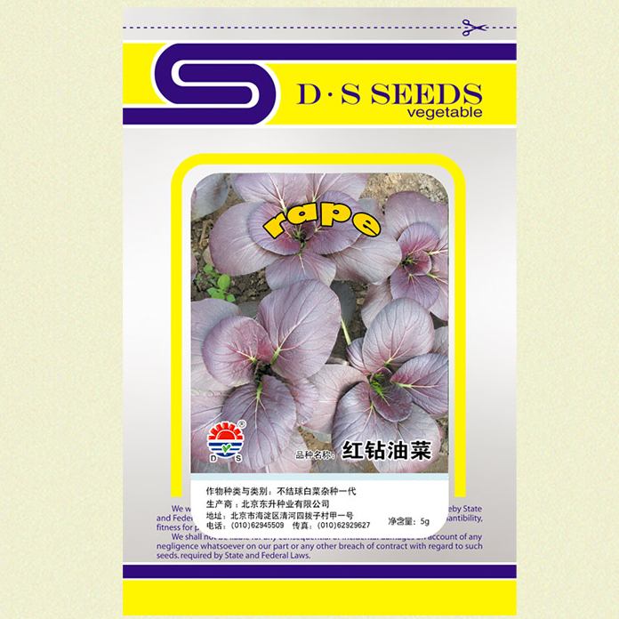 紫色小青菜冰心紫依紫钻小菘菜红钻紫松茸菜四季可播紫油菜种子 虎窝淘