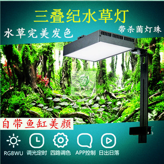 性水草 新人首单立减十元 21年9月 淘宝海外