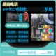 Yineng video game switchOLED punch hole anti-Japanese intensive repair repair OLED battery life lite game NS