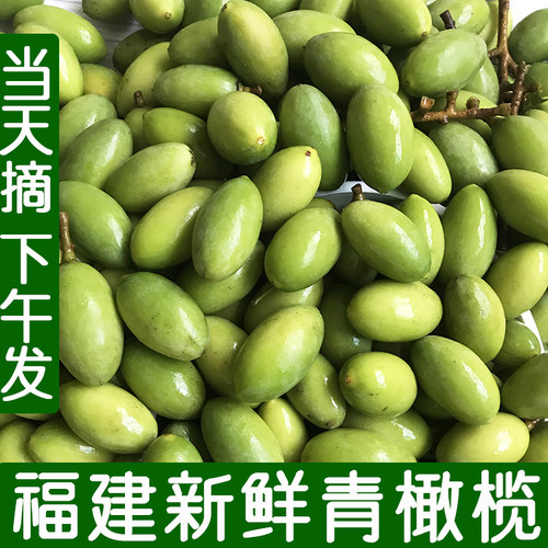 26新鲜橄榄檀香青橄榄果水果生青果孕妇煲汤福建青橄榄二号福州 - 图3