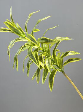 仿真金边百合竹紫露草手感竹剑兰家居室内软装饰空间推荐花材叶材