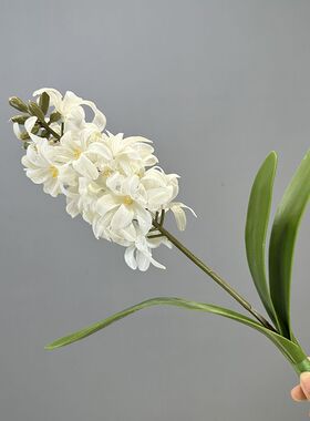 靓插花室内中国风信子枝白手感1