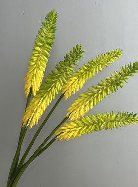 仿真花火炬花 芦荟花 单枝假花室内家居装饰花艺花瓶摄影道具摆件