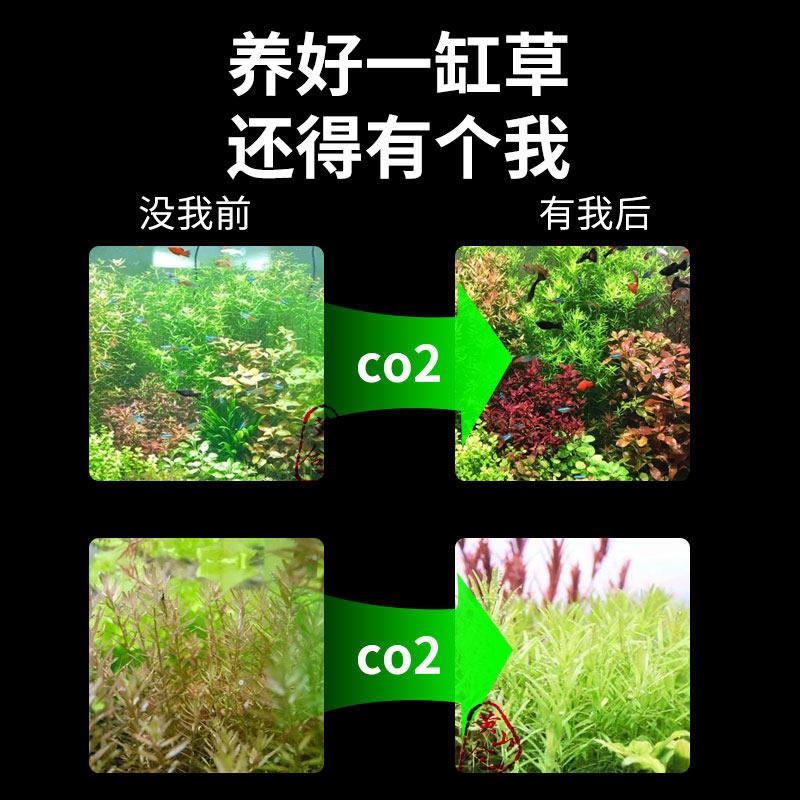 鱼缸二氧化碳发生器diy自制co2发生器套装水草钢瓶套装细化器 黄山合一水族 淘优券