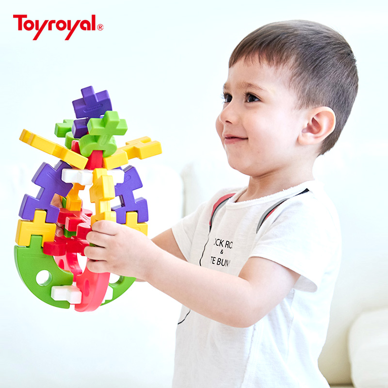 Toyroyal皇室玩具儿童拼插积木塑料大颗粒宝宝益智幼儿园男孩1岁6-图2