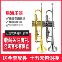 Small number instruments students beginners professional playing level children adult school pipe musical instrument down B tone