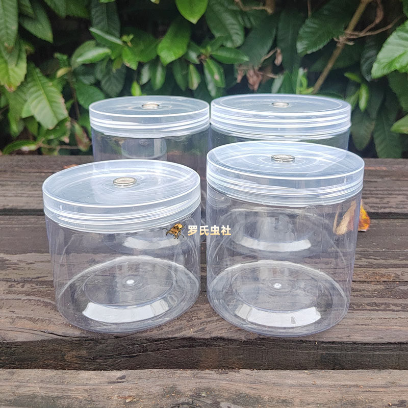 独角仙幼虫饲养罐套装送幼虫锹甲幼虫饲养套餐兜虫花金龟一罐到底,淘宝优惠券,粉丝福利购,淘宝优惠卷