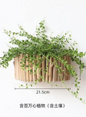 木质花瓶墙上装饰盆栽创意简约客厅花器半壁挂式花器吊篮多肉壁饰