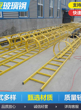 热销电力操作玻璃钢护爬梯爬梯检查井安全笼储罐外墙登高爬梯护笼