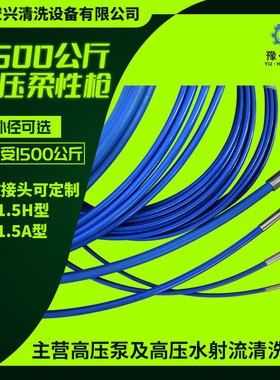 换热器管道高压清洗机大压力工业高压泵内管壁污垢高压水冲毛机