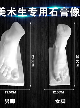 热销男女手足素描手脚四件套石膏教具美术石膏像绘画写生静物用具