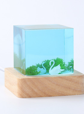 微景观海洋系列手工制作环氧树脂工艺品摆件设计小夜灯独特伴手礼