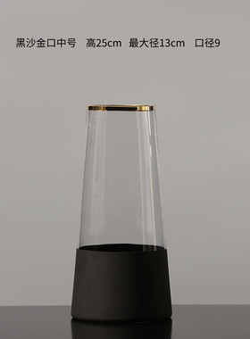 北欧简约玻璃花瓶金口磨砂t筒绿植插花轻奢摆件桌面客厅装饰花器