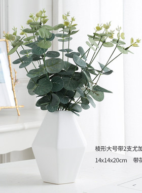 陶瓷花瓶摆件现代简约插花小水培器皿铜钱草桌面创意客厅装饰白色