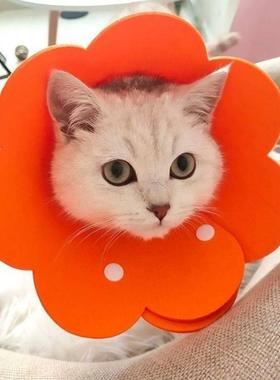 口水巾可爱太阳花脖圈围脖一次性软伊丽莎白圈 猫咪猫咖防舔卫生
