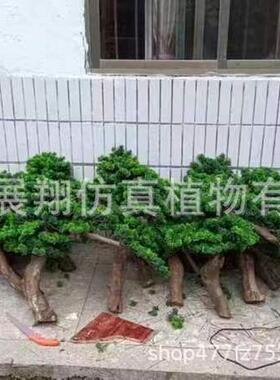 特惠仿真迎客松罗汉松美人松景观植物摆件 假松树商场室内装饰