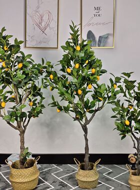 定制北欧款仿真柠檬树盆栽室内装饰绿植盆景假花家居摆件落地假树