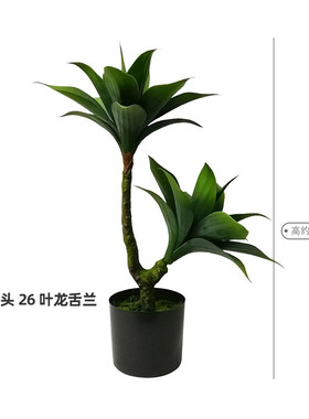 仿真沙生绿植多头龙舌兰北欧风装饰落地盆栽室内摆件睡莲多肉植物