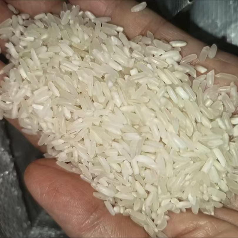 GLM稻田绿洲长粒粒香大米5斤5当季正宗农家密2.公斤长新香米 - 图0