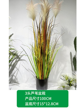 定制造景家居假植物室外摆件绿植落地假草人造北欧仿真芦苇盆栽