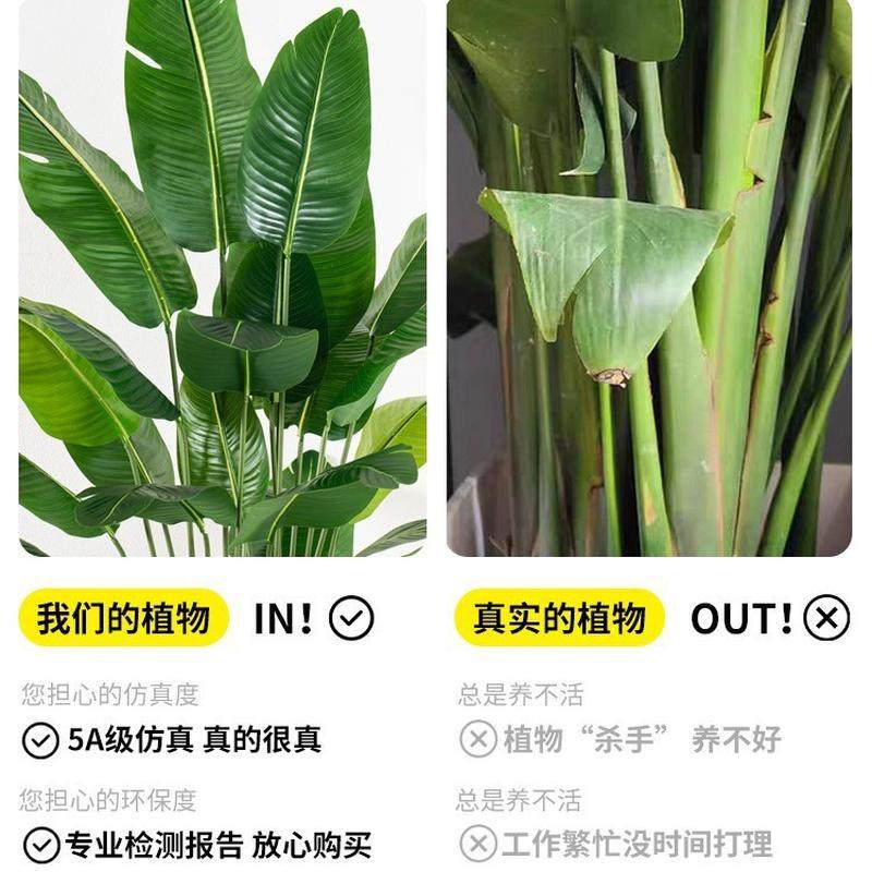 热销仿真绿植假树天堂鸟仿生植物盆栽摆件高端轻奢室内客厅装饰花,淘宝优惠券,粉丝福利购,淘宝优惠卷