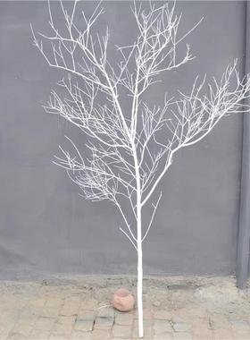 杆干枝干树枯树装饰白色树摆件树干树枝仿真树枝假树枝道具装饰树