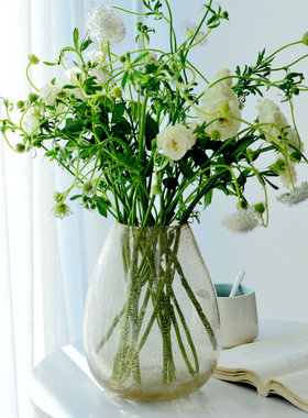 桌面透明发泡ins玻璃工艺品卧室水培玻璃花瓶新款北欧风插花花器