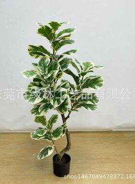 树琴叶榕仿真盆栽人造橡皮树布叶葫芦白边盆景仿真树绿植琴叶榕树