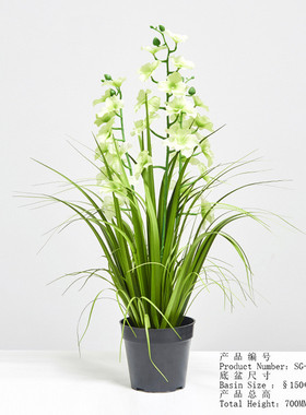 仿真植物仿真植物草仿真兰草洋葱兰花园林绿化植物网红植物盆栽