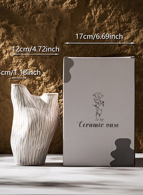 北欧现代创意家居白色陶瓷侘寂风花瓶客厅插花ins风装饰艺术摆件