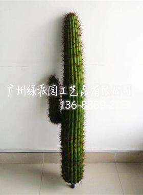仿真绿植仙人球盆栽舞台布景道具人造热带多肉仙人柱仿真仙人掌