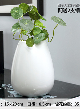 陶瓷花瓶摆件客厅装饰小插花水培器皿铜钱草桌面创意现代简约白色