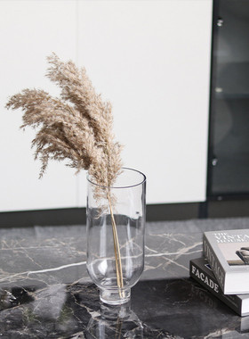 热销轻奢现代简约几何圆透明花瓶插花玻璃水培花器摆件样板房间家