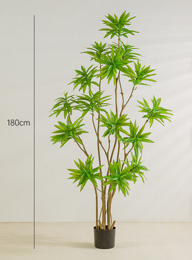 新款橱窗加密百合竹室内家居仿真绿植假植物盆栽仿真造景落地摆件