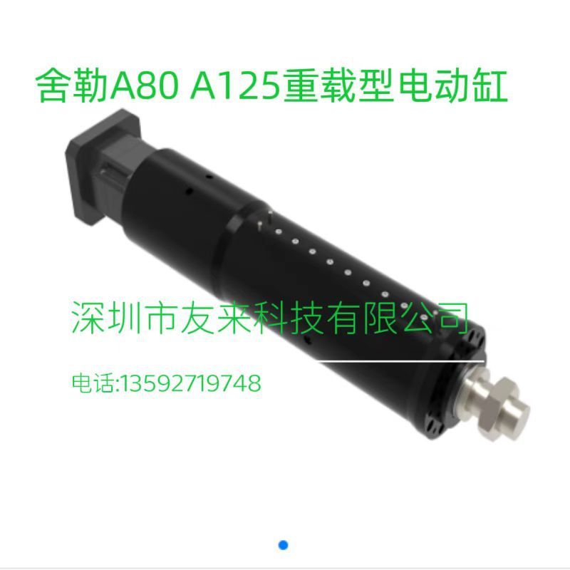 SHELE舍勒重载型电动缸A125-200-P10-FF-P-K4-H400W-S3伺服电缸 - 图2