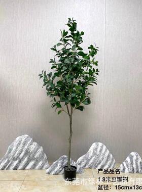仿真豆瓣客厅装饰盆栽厂家批发北欧形象墙居家树高档仿真豆瓣小树