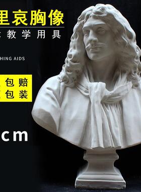 莫里哀石膏像美术石膏雕塑石膏头像雕塑教具素描模型