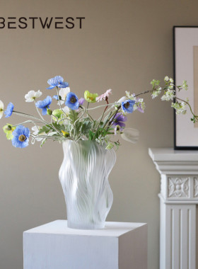 热销bestwest花瓶玻璃透明水养插花摆件高级感水培创意简约现代花