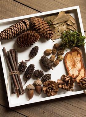 天然野外森林果子摆盘竹编篮子干果装饰套装文艺店铺摆件装饰DIY