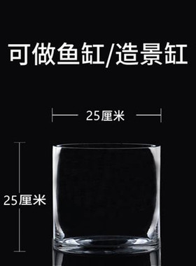特大号落地玻璃花瓶水培花盆透明水养插花富贵竹直筒鱼缸一体摆件