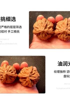 文玩核桃御品种小众龙粗筋三棱天然生长老树果上色快货源直发