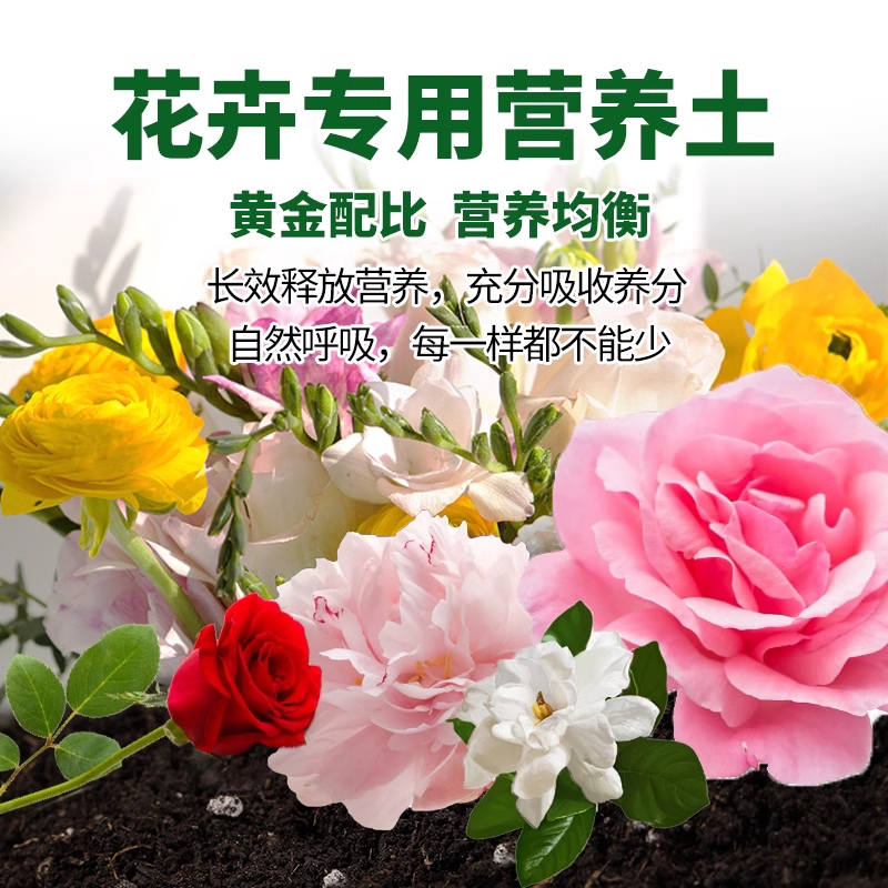 营养土养花通用专用型花土种菜花泥土土壤种植土花肥家用盆栽通用 - 图1