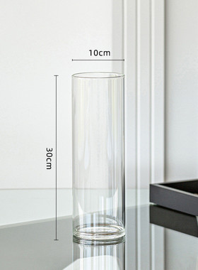花瓶玻璃透明客厅摆件插花水培水养直筒雪柳马醉木高级感富贵竹大